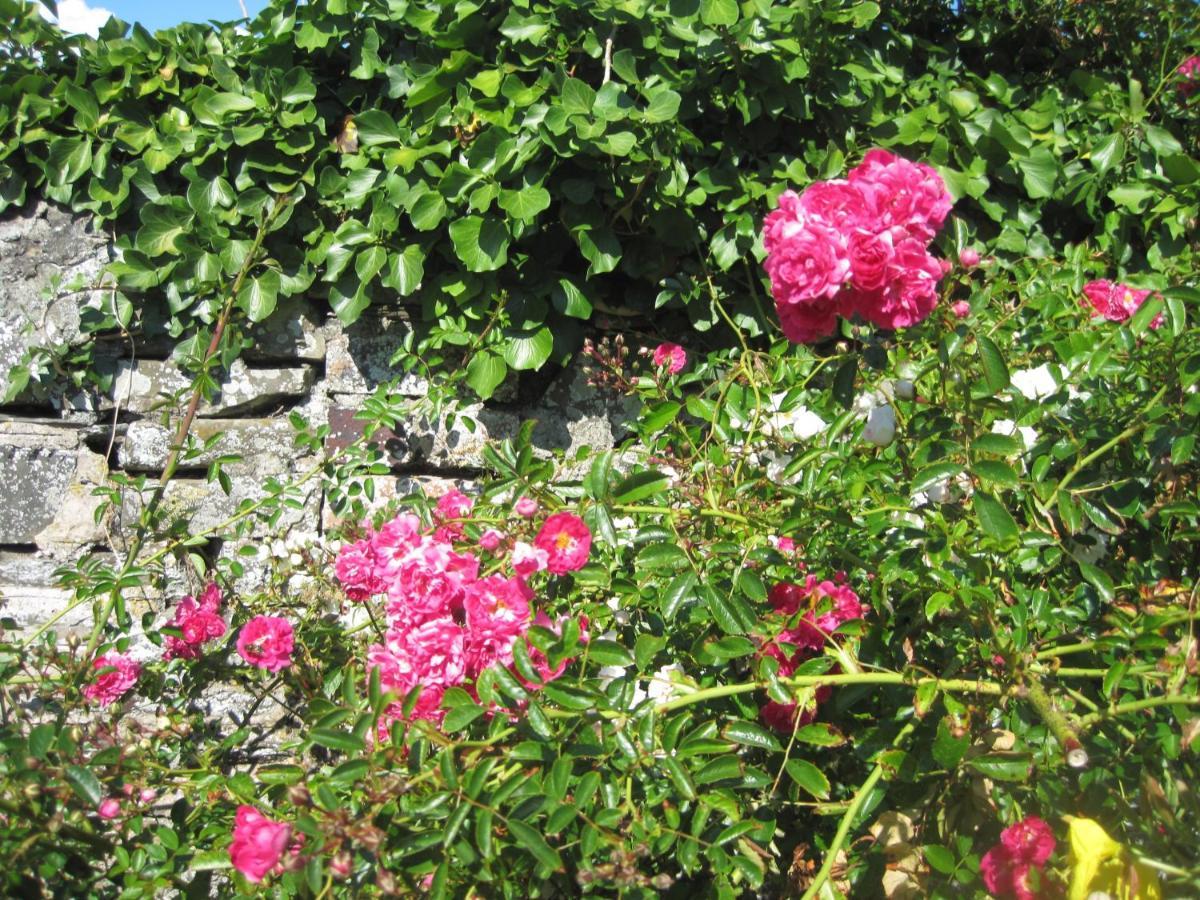 Colebrook Cottage Isle of Whithorn Dış mekan fotoğraf